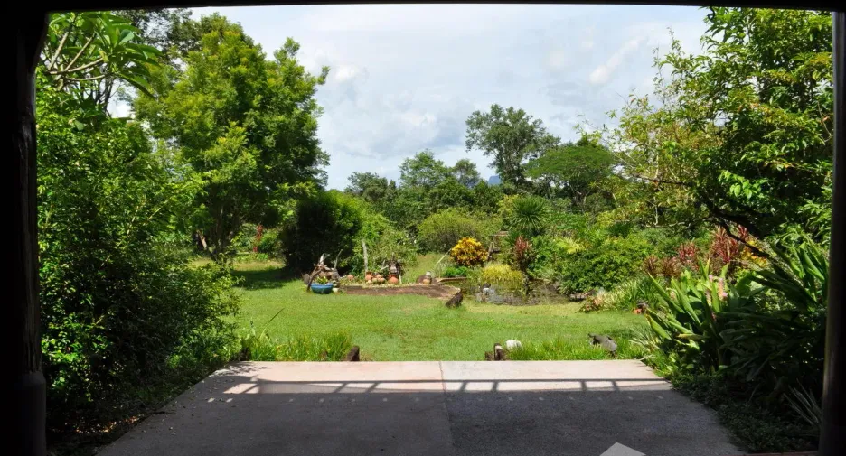 For sale land in Tha Uthen, Nakhon Phanom
