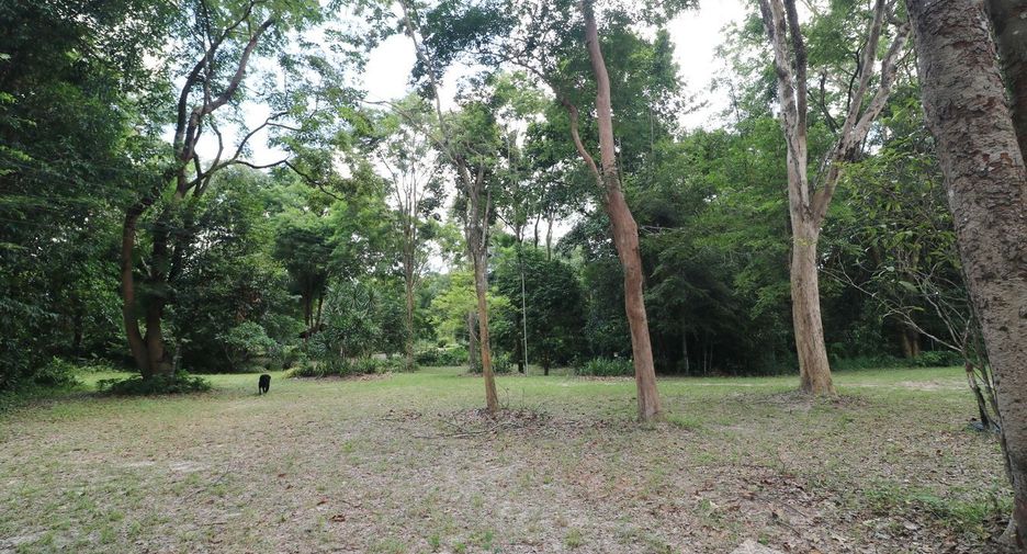 For sale land in Tha Uthen, Nakhon Phanom