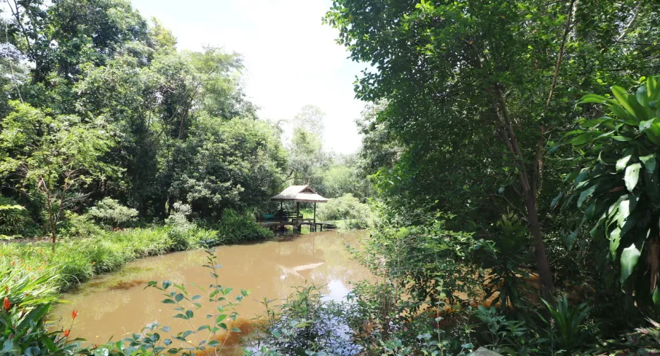 For sale land in Tha Uthen, Nakhon Phanom