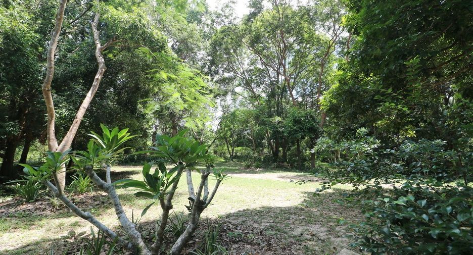 For sale land in Tha Uthen, Nakhon Phanom