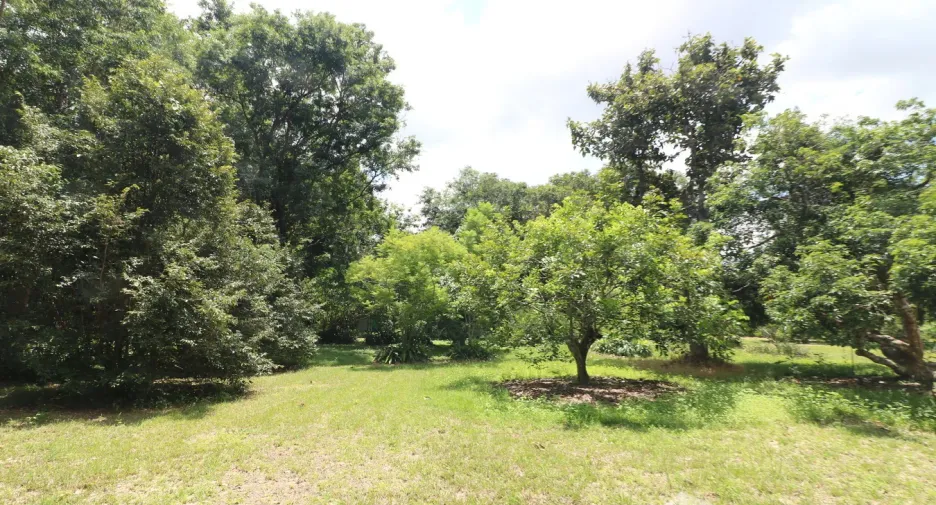 For sale land in Tha Uthen, Nakhon Phanom