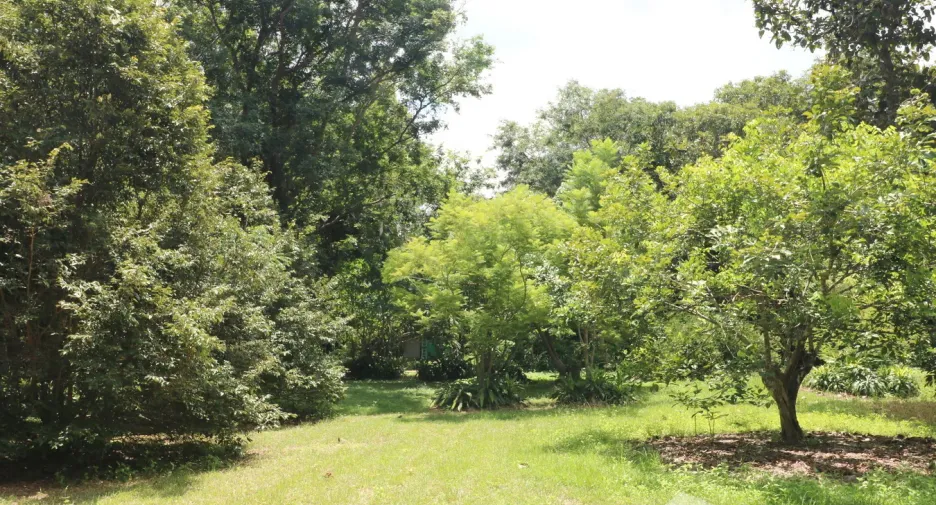 For sale land in Tha Uthen, Nakhon Phanom