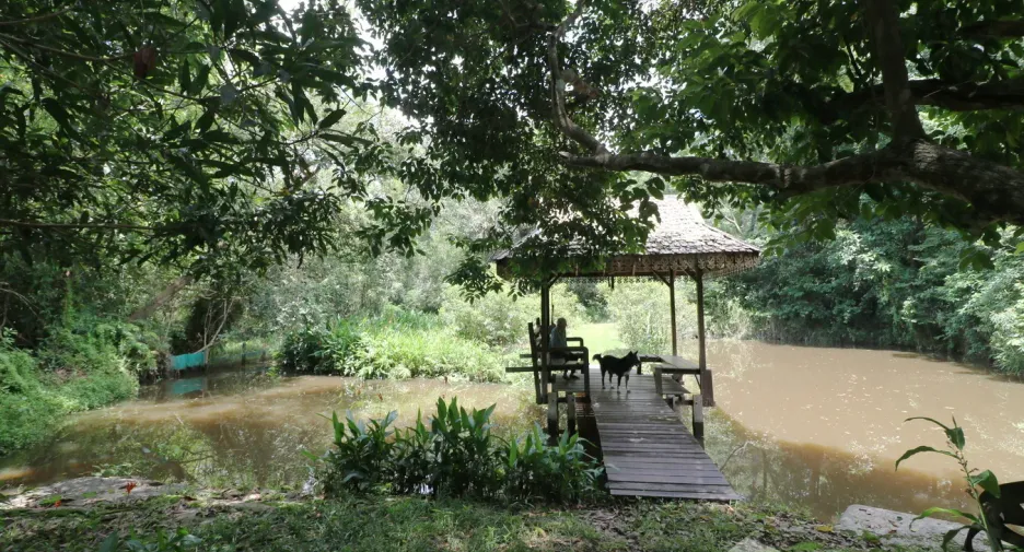 For sale land in Tha Uthen, Nakhon Phanom