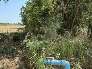 For sale land in Hua Hin, Prachuap Khiri Khan