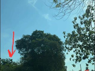 For sale land in Hua Hin, Prachuap Khiri Khan