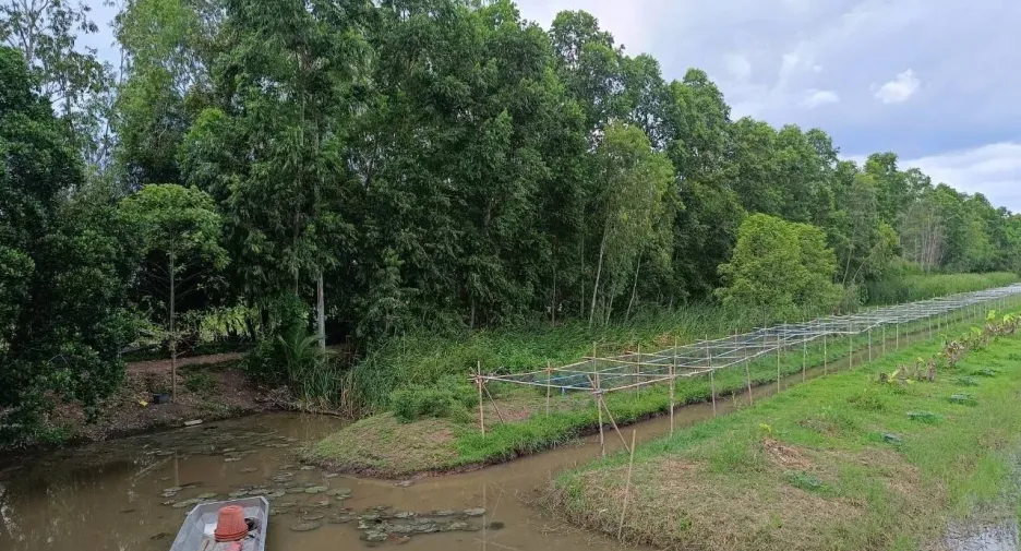 For sale land in Ban Na, Nakhon Nayok