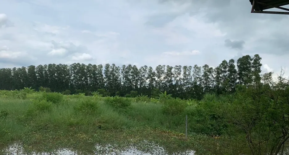 For sale land in Ban Na, Nakhon Nayok