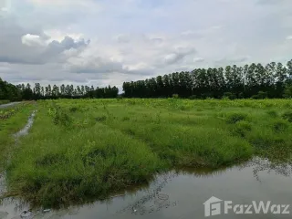 ขาย ที่ดิน ใน บ้านนา, นครนายก