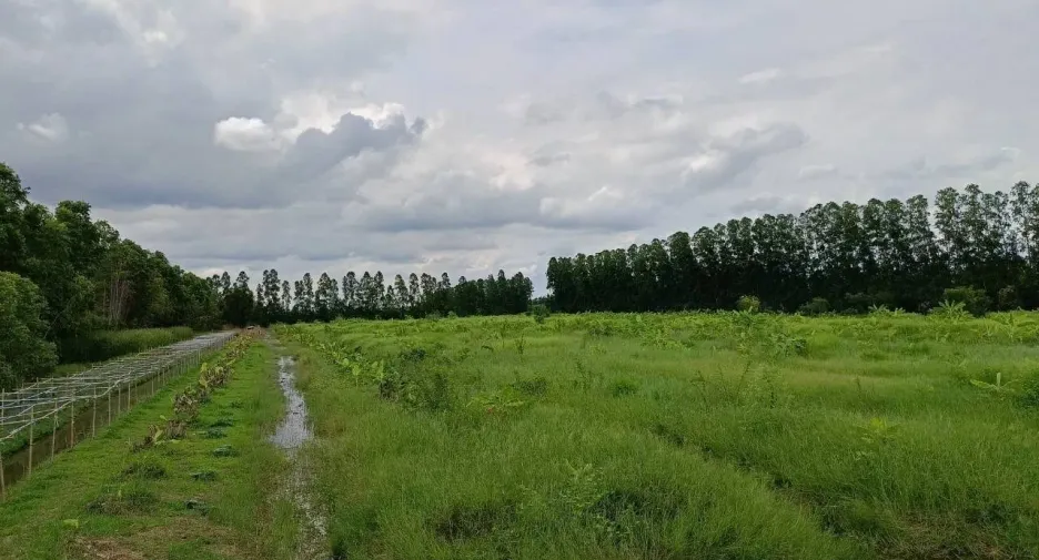 For sale land in Ban Na, Nakhon Nayok