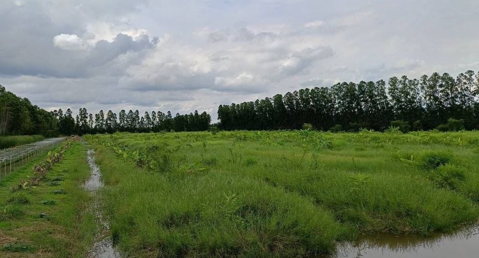 For sale land in Ban Na, Nakhon Nayok