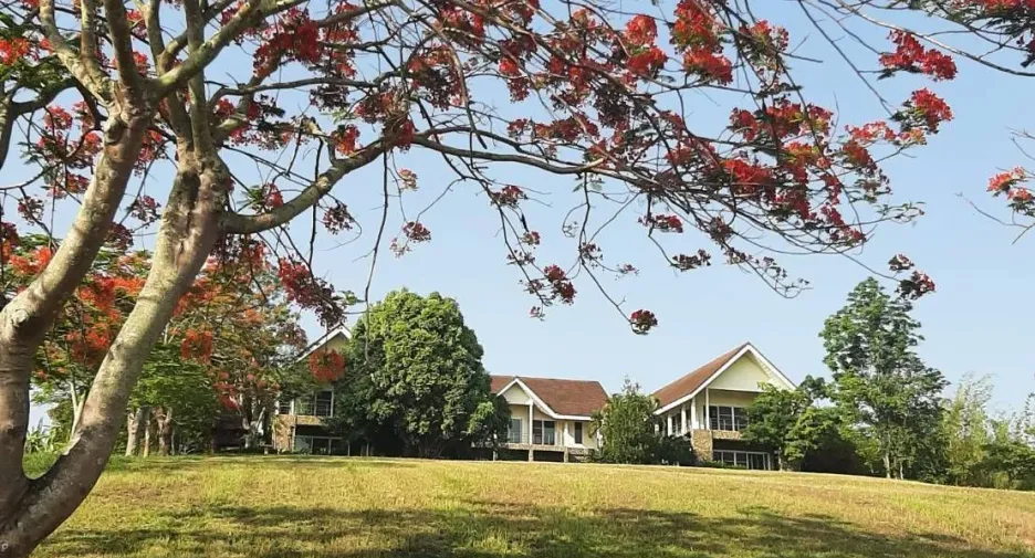 For sale そして for rent 4 ベッドルーム house in Thoeng, Chiang Rai