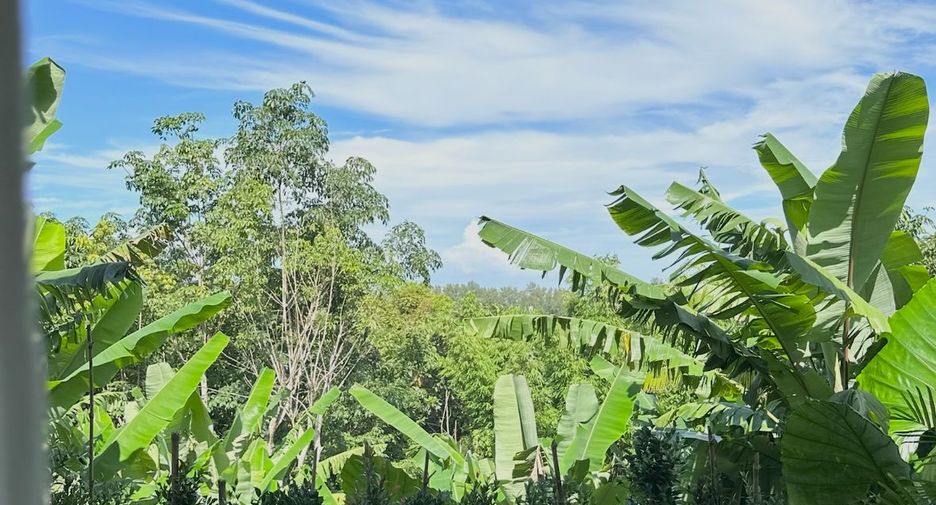 Villa en venta de 3 habitaciones en Thalang, Phuket