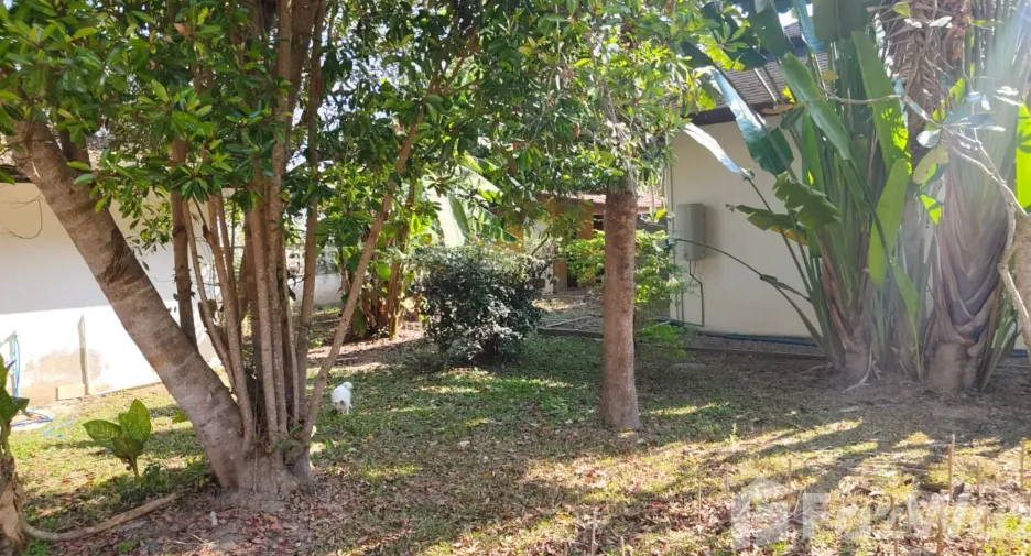 For sale 4 bedrooms villa in Mueang Chiang Rai, Chiang Rai