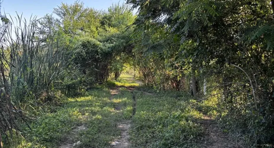 For sale land in Ban Pong, Ratchaburi