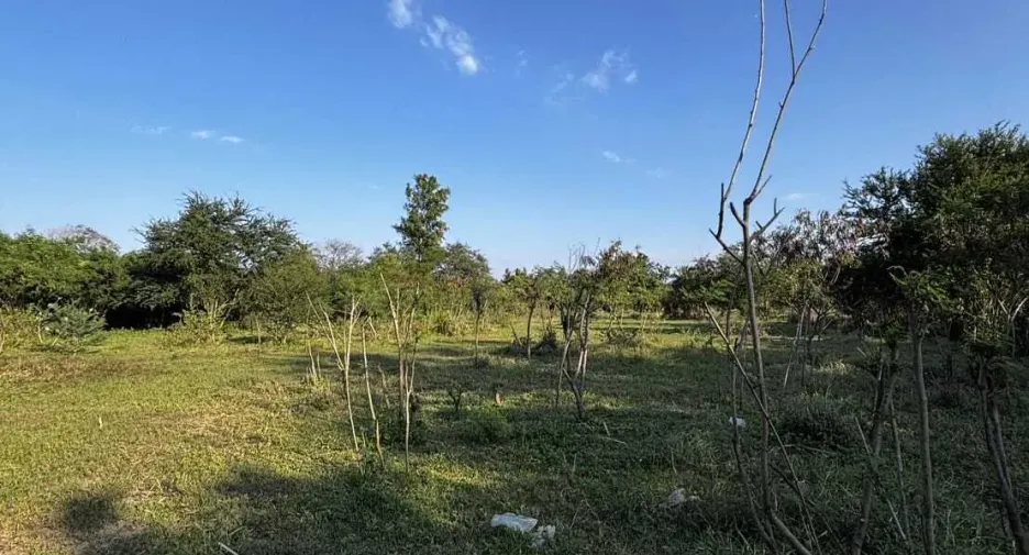 For sale land in Ban Pong, Ratchaburi