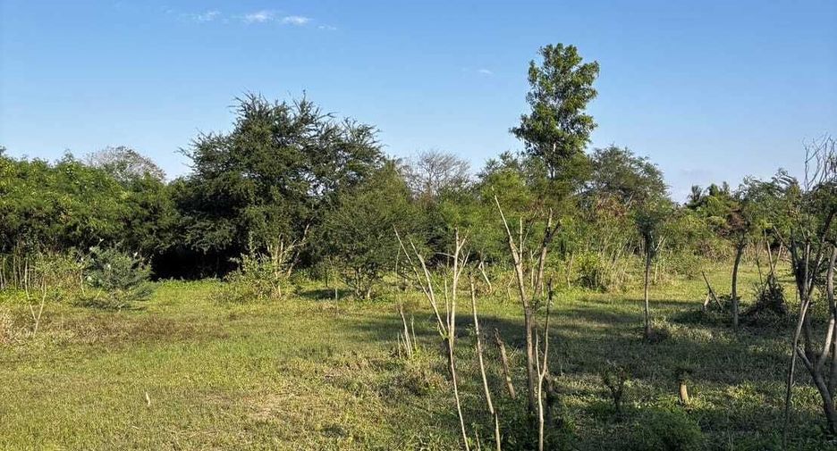For sale land in Ban Pong, Ratchaburi