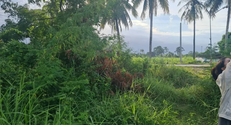 For sale land in Ban Pong, Ratchaburi