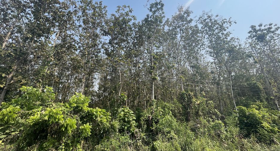 For sale land in Hua Hin, Prachuap Khiri Khan