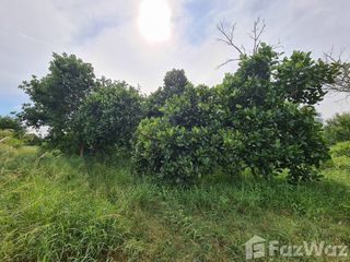 出售 土地 在 三百峰, 班武里府