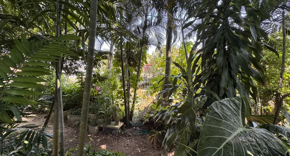For sale 7 bedrooms house in Mueang Phuket, Phuket