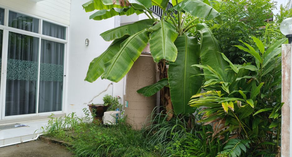 For rent 2 bedrooms townhouse in Thalang, Phuket