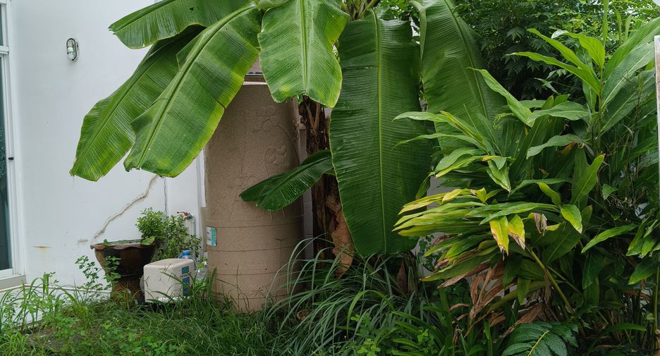 For rent 2 bedrooms townhouse in Thalang, Phuket