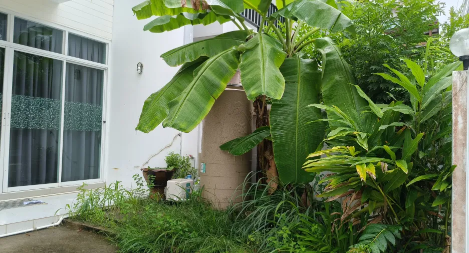 Casa adosada en alquiler de 2 habitaciones en Thalang, Phuket