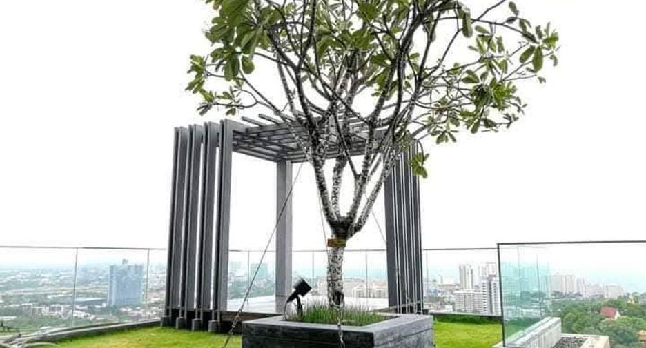 Condo en venta y en alquiler de 1 habitaciones en Bang Lamung, Chonburi