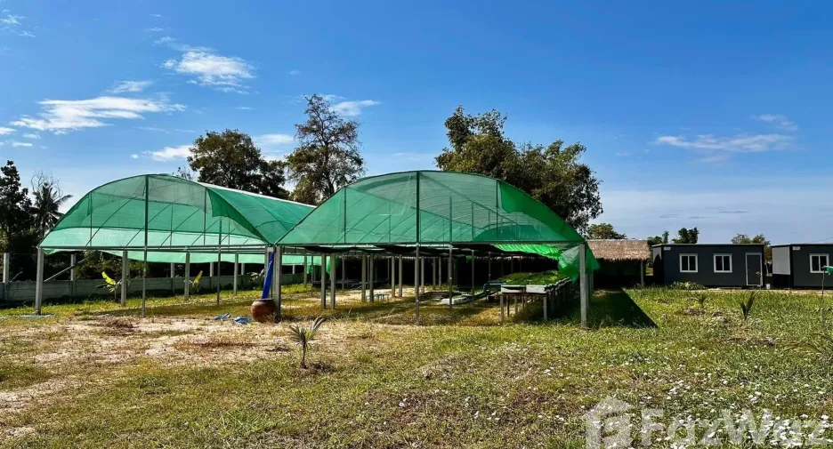 Haus zum Kauf mit 3 Zimmer in Chaloem Phra Kiat, Nakhon Ratchasima