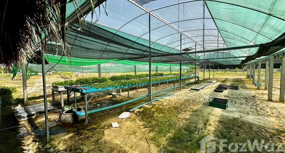 Haus zum Kauf mit 3 Zimmer in Chaloem Phra Kiat, Nakhon Ratchasima