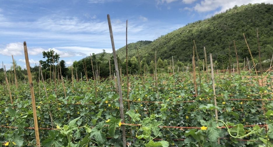 For sale land in Phanom Thuan, Kanchanaburi
