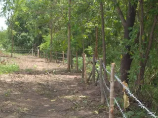 Продажа Участок в Chon Daen, Phetchabun