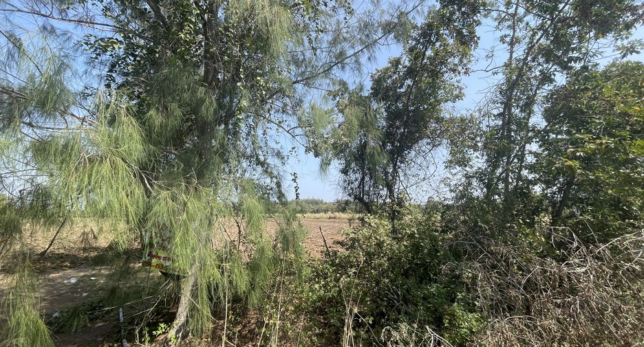 For sale land in Pran Buri, Prachuap Khiri Khan