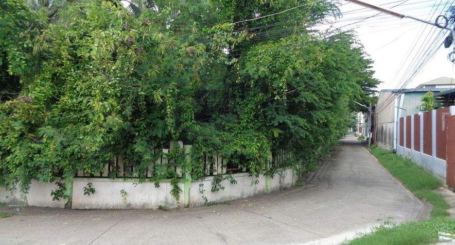 For sale land in Chai Badan, Lopburi
