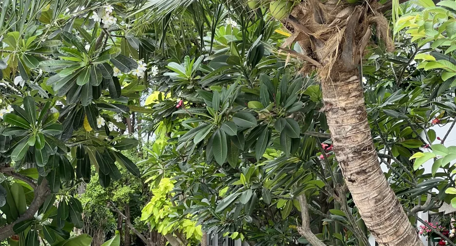 出售 2 卧室 公寓 在 Jomtien, 芭提雅