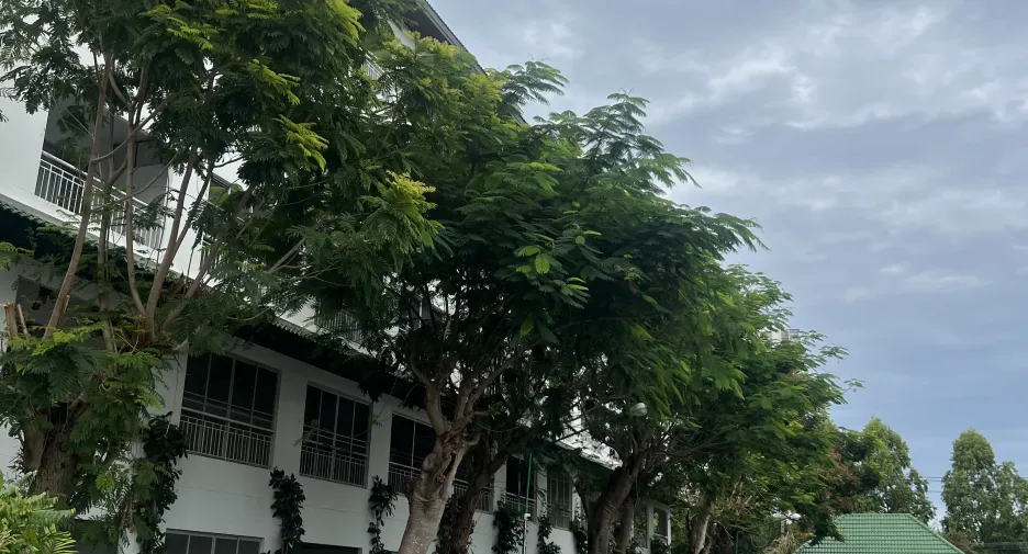 出售 2 卧室 公寓 在 Jomtien, 芭提雅