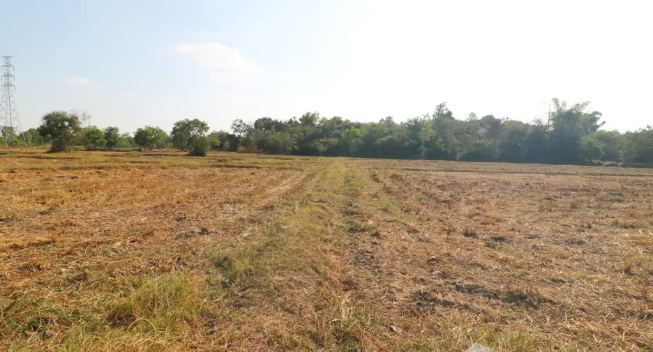 出售 土地 在 Mueang Udon Thani, Udon Thani