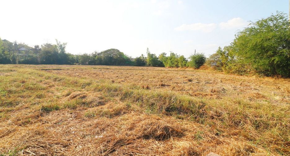 出售 土地 在 Mueang Udon Thani, Udon Thani