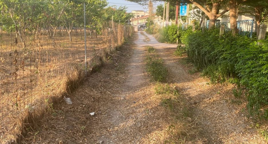 À vendre terrain à Bang Lamung, Chonburi