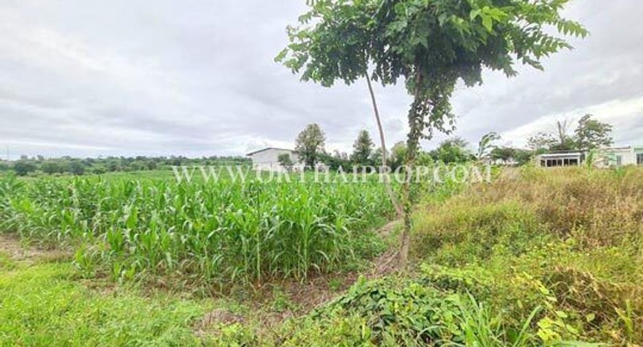 For sale land in Bueng Sam Phan, Phetchabun