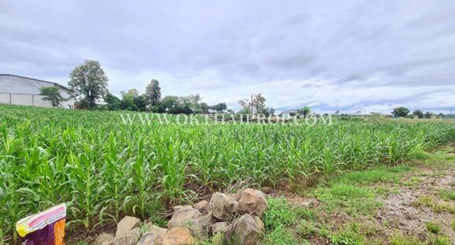 For sale land in Bueng Sam Phan, Phetchabun