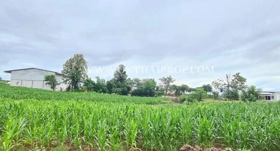 For sale land in Bueng Sam Phan, Phetchabun