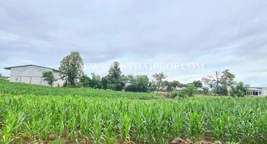 For sale land in Bueng Sam Phan, Phetchabun