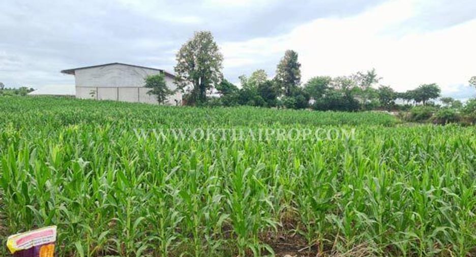 For sale land in Bueng Sam Phan, Phetchabun