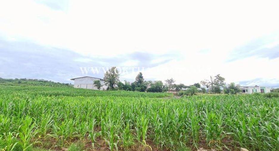 For sale land in Bueng Sam Phan, Phetchabun
