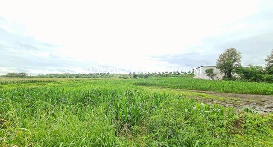 For sale land in Bueng Sam Phan, Phetchabun
