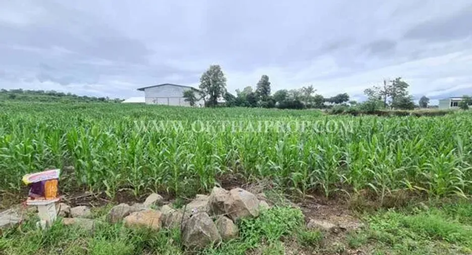 For sale land in Bueng Sam Phan, Phetchabun