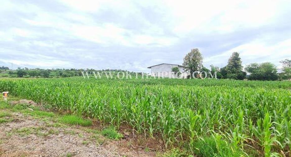 For sale land in Bueng Sam Phan, Phetchabun