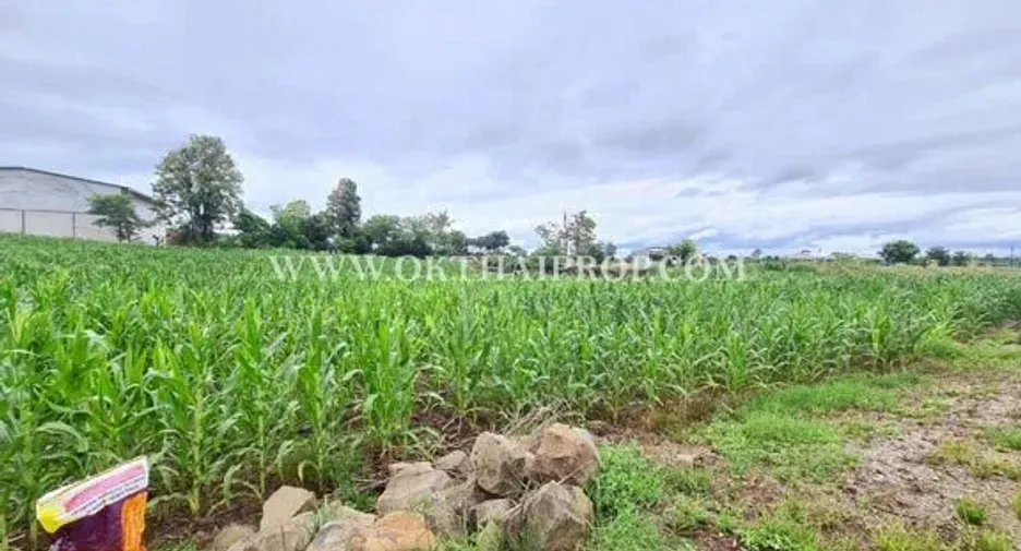 For sale land in Bueng Sam Phan, Phetchabun