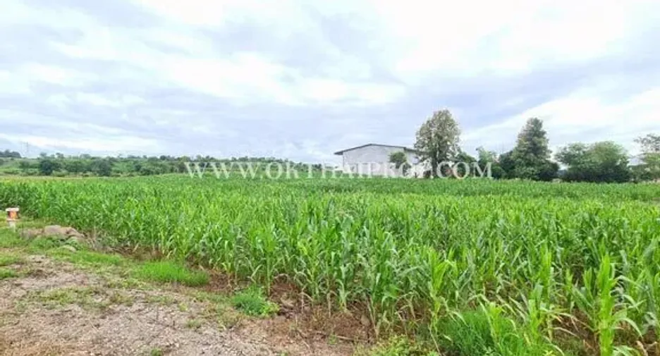For sale land in Bueng Sam Phan, Phetchabun